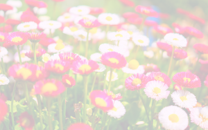 spring gardening